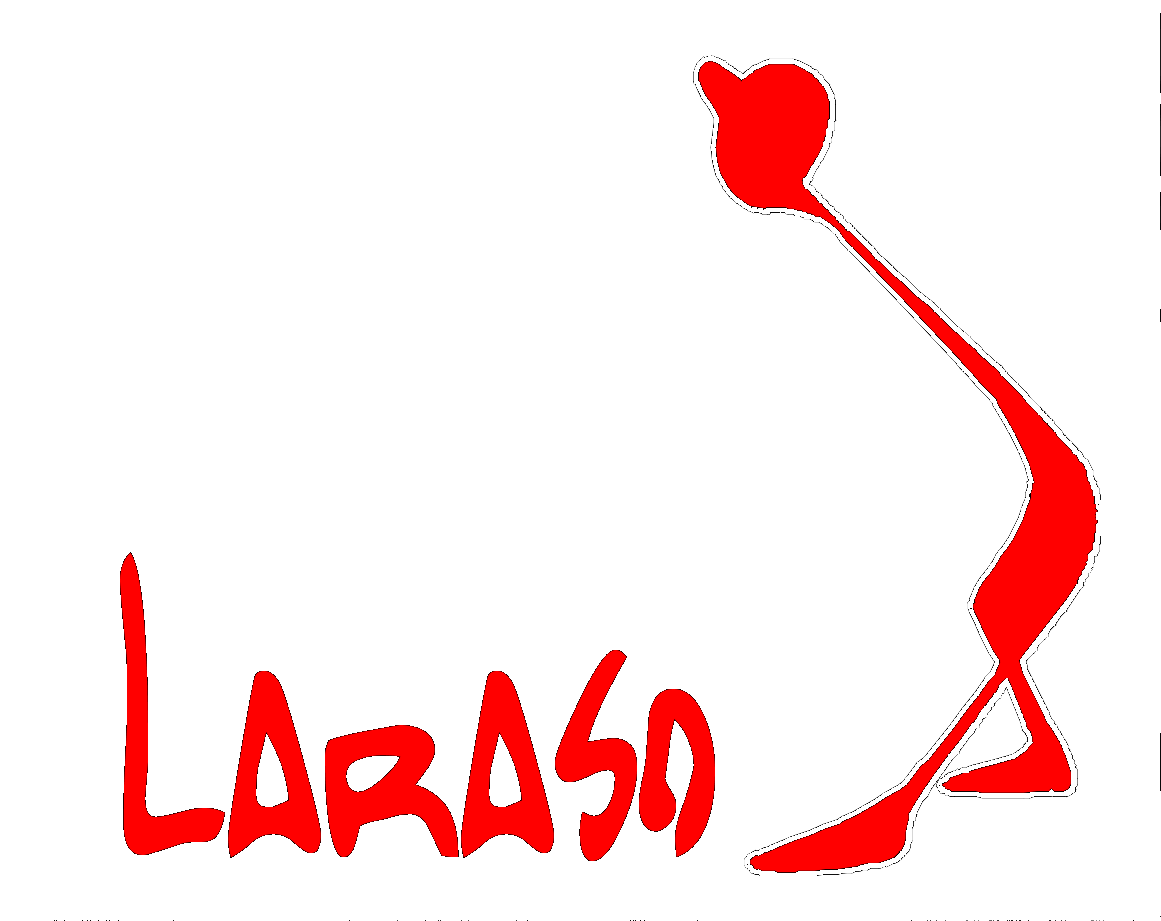 Logo Laraso
